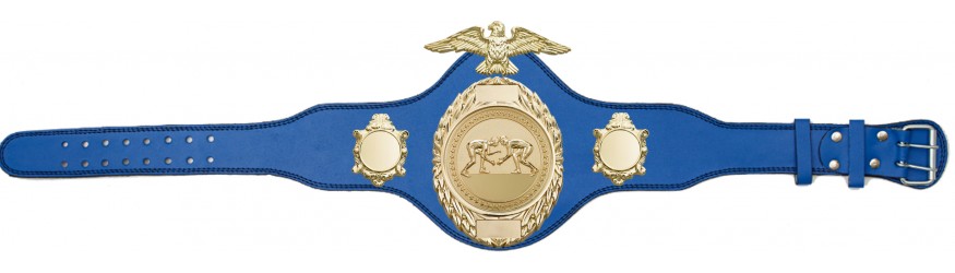 GRAPPLING CHAMPIONSHIP BELT-PLT288/G/GRAPG-4 COLOURS GRAPPLING CHAMPIONSHIP BELT-PLT288/G/GRAPG-4 COLOURS